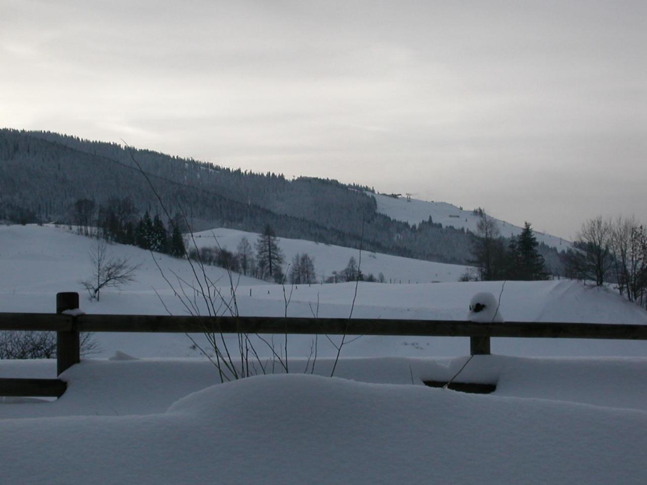 Gourmet-Hotel Gruenwald Leogang Exteriér fotografie
